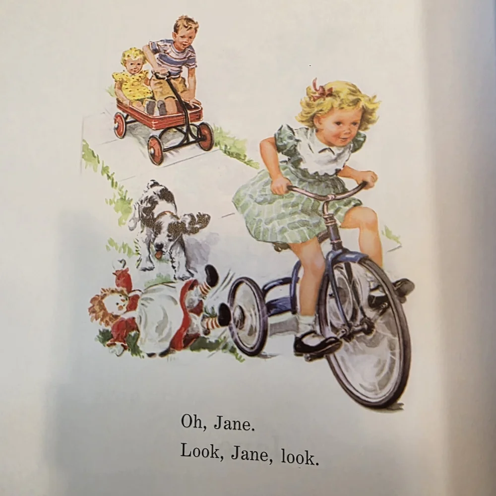The World of Dick and Jane And Friends Book NWOT